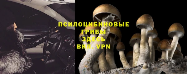 бошки Абаза