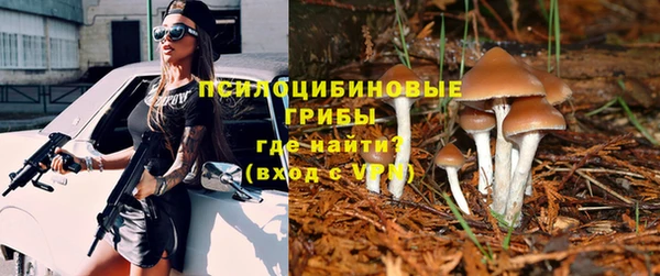 бошки Абаза