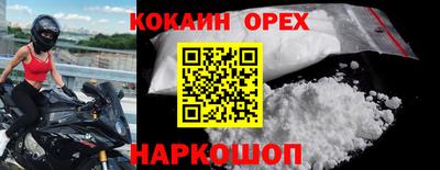 крисы Партизанск