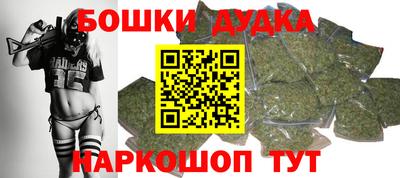 крисы Партизанск