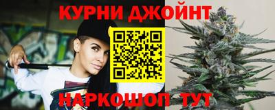 крисы Партизанск
