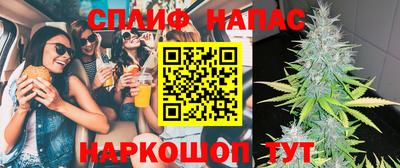 крисы Партизанск