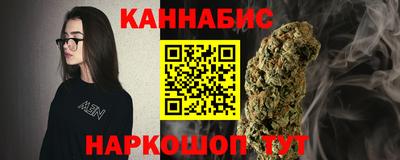 крисы Партизанск