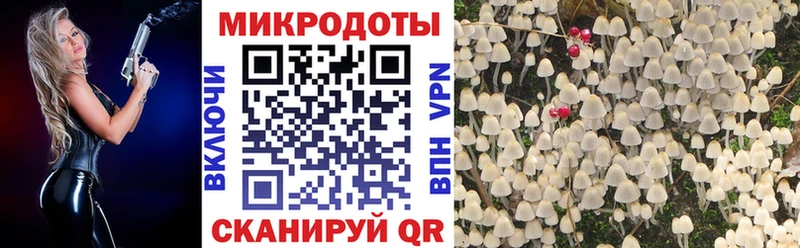 KRAKEN зеркало  Севастополь  Галлюциногенные грибы прущие грибы  купить наркоту 