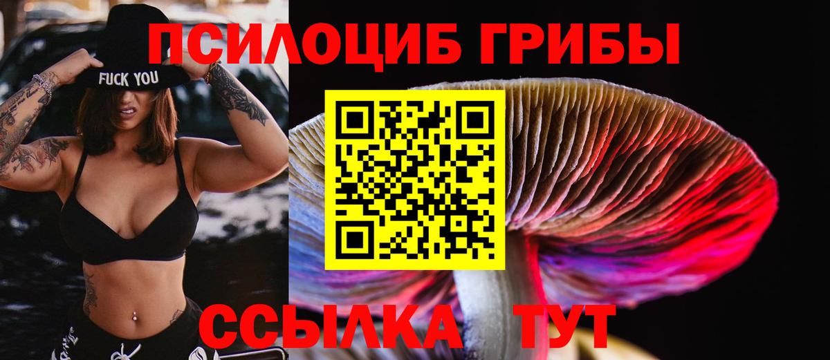 Псилоцибиновые грибы мухоморы Севастополь