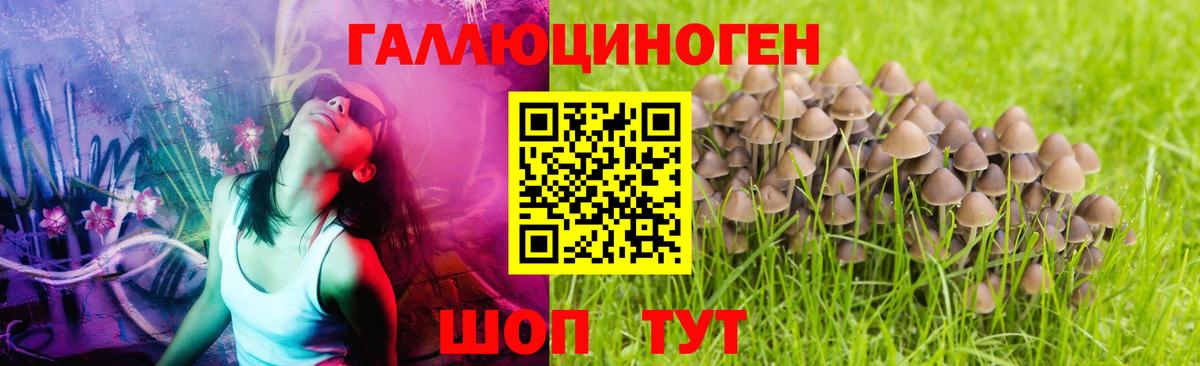 Псилоцибиновые грибы GOLDEN TEACHER  Псилоцибиновые грибы ЛСД  Севастополь  Вход с VPN 