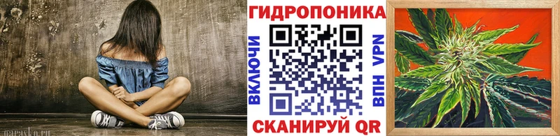 Шишки марихуана MAZAR  где найти   Севастополь 