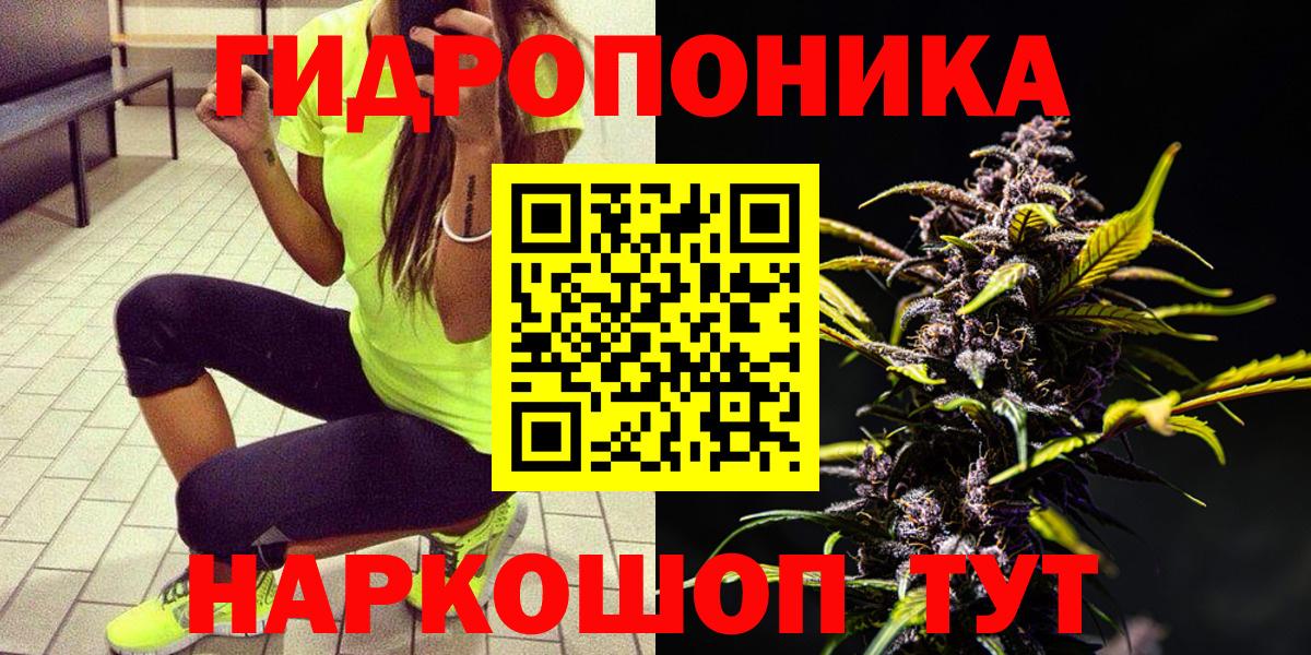 Марихуана THC 21%  Шишки марихуана Bruce Banner  Севастополь  Марихуана планчик  Вход с VPN 